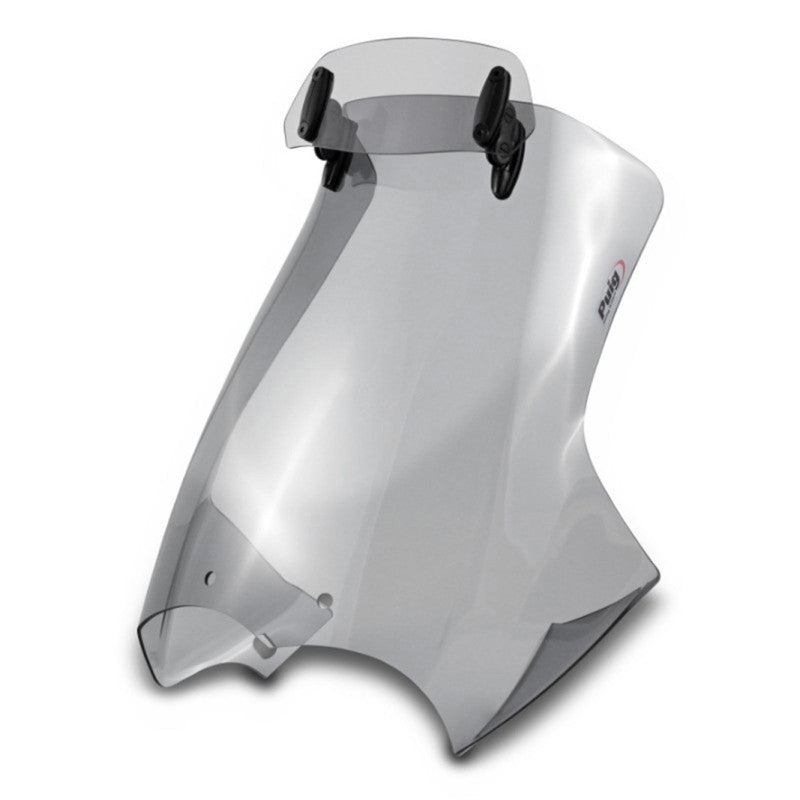 PUIG CUPOLINO TOURING -VISIERA PER BMW R1200 GS 04-07 FUME CHIARO